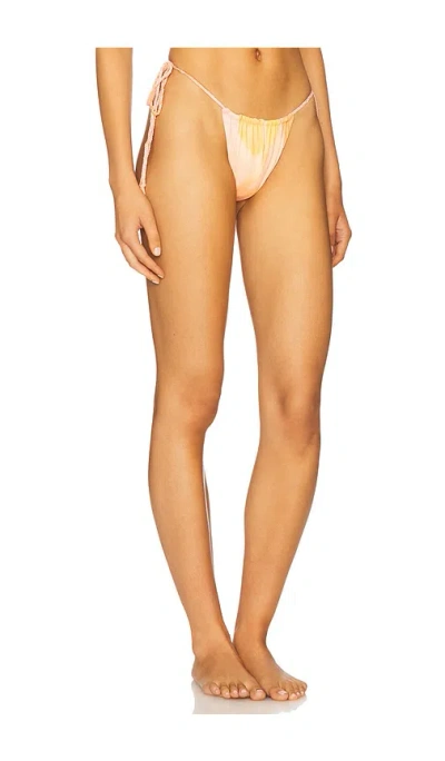 Devon Windsor Whit Bikini Bottom
