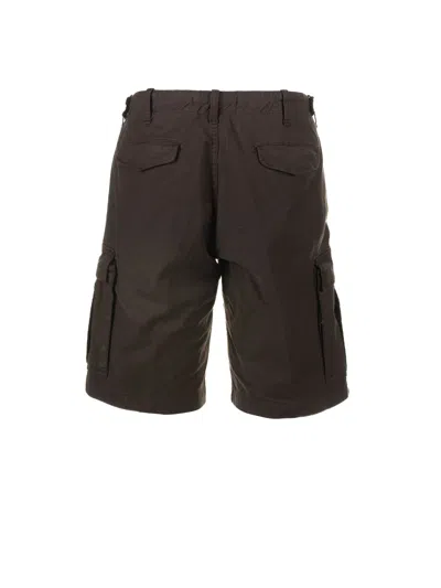 Myths Bermuda Chocolate In Brown