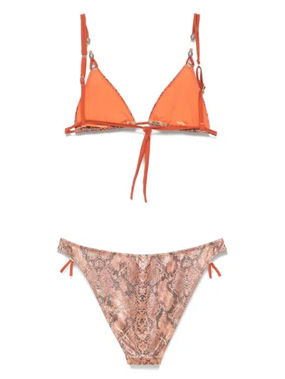 Pin Up Stars Snake Print Triangle Bikini In Multi