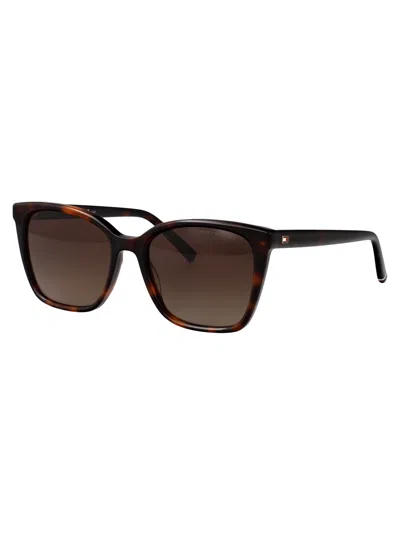 Tommy Hilfiger Havana Acetate Sunglasses