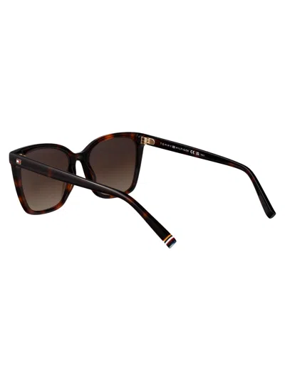 Tommy Hilfiger Havana Acetate Sunglasses