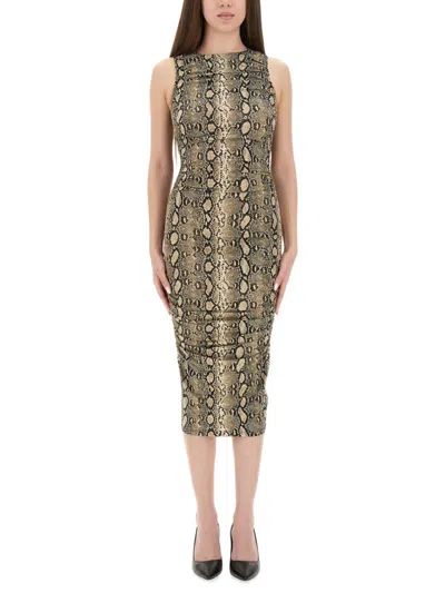 Michael Kors Snake Print Sleeveless Midi Dress In Green