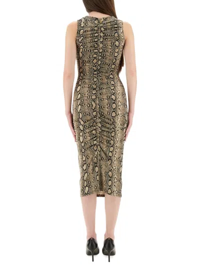 Michael Kors Snake Print Sleeveless Midi Dress In Green