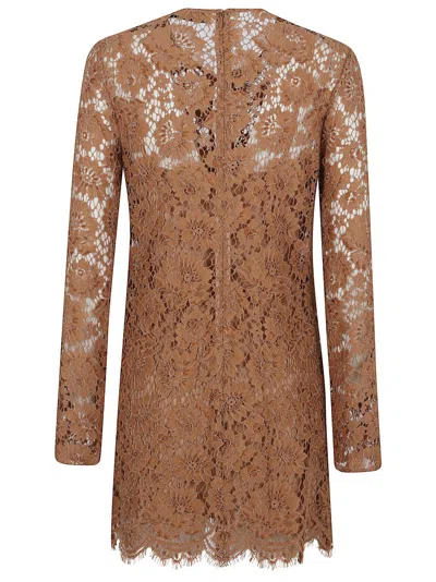 Self-portrait Womens Tan Lace Bow-embellished Woven Mini Dress In Brown