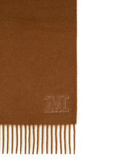 Max Mara 'wsdalia' Cashmere Stole With Brown 'monogram' Embroidery