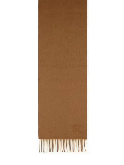 Max Mara 'wsdalia' Cashmere Stole With Brown 'monogram' Embroidery Women