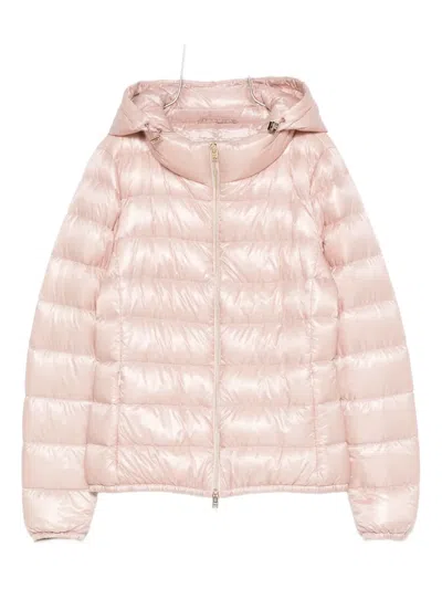 Herno Hooded Quilted Jacket In Pink