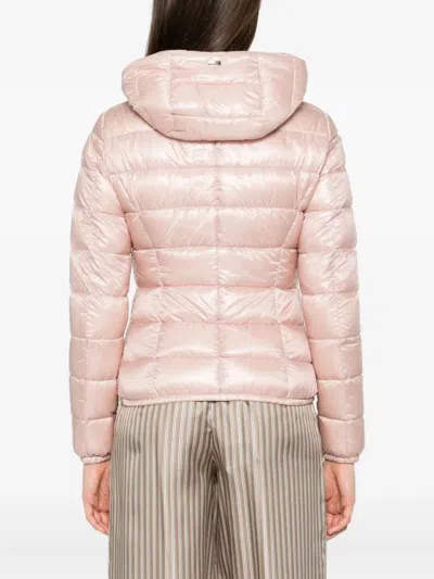 Herno Hooded Quilted Jacket In Pink