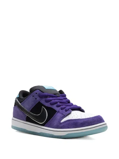 Nike Sb Dunk Low "hayley Wilson