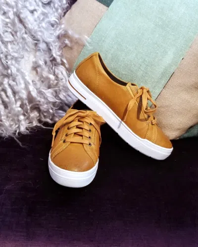 Salvia Women's Karma Sneaker In Sheep Nappa Curry In Orange