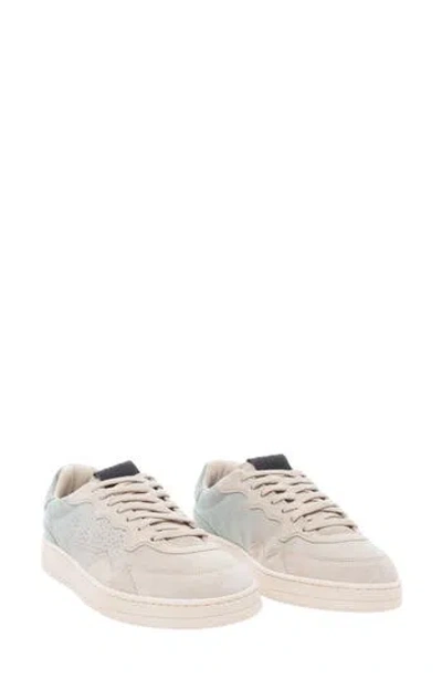 P448 Yam Skate Sneaker