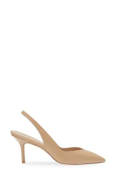 Stuart Weitzman Eva Pointed Toe Slingback Pump