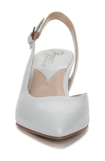 27 Edit Naturalizer Felicia Slingback Pointed Toe Pump