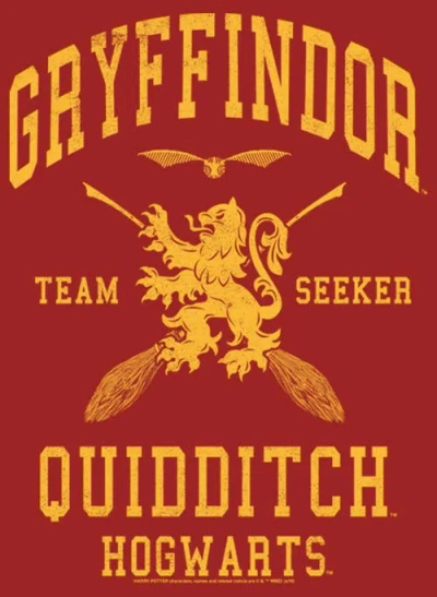 Harry Potter Gryffindor Quidditch Gold Team Seeker  Graphic T-shirt In Red