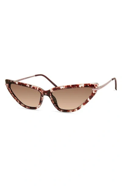 Eco Seiland 57mm Cat Eye Sunglasses