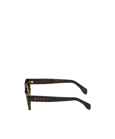Marni Brown Angdoa Sunglasses