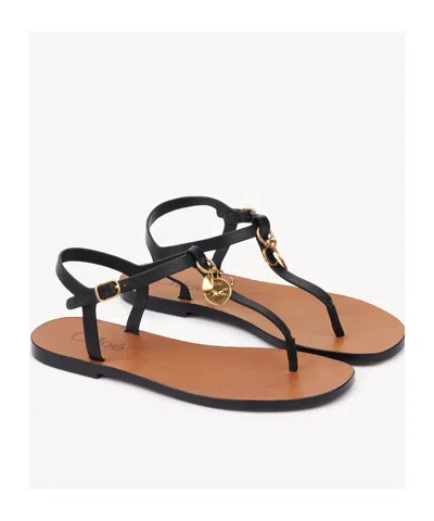 Chloé Leather-buckle Charm Sandals In Black