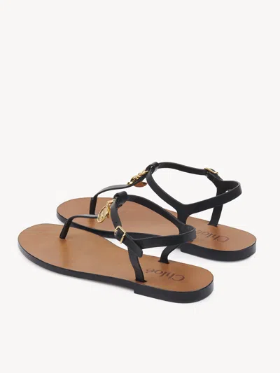 Chloé Leather-buckle Charm Sandals In Black