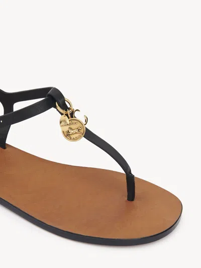 Chloé Leather-buckle Charm Sandals In Black