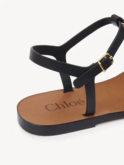 Chloé Leather-buckle Charm Sandals In Black