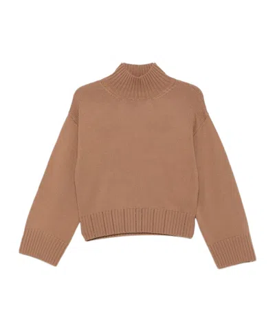 Fabiana Filippi Wool Turtleneck Sweater With Dropped Shoulders In Brown