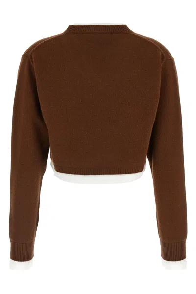 Miu Miu Long Sleeve Cropped Sweater In Brown