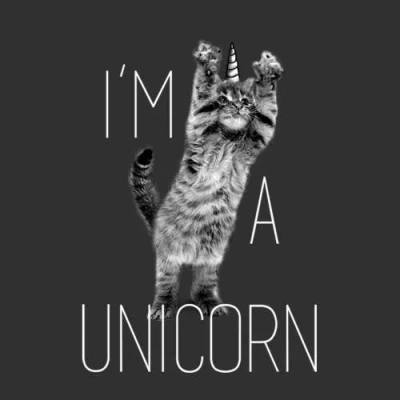 Lost Gods Girl's  I'm A Unicorn Cat  Graphic T-shirt In Black