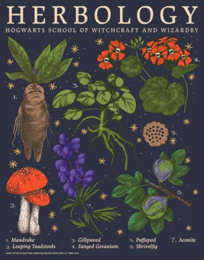 Harry Potter Hogwarts Herbology  Graphic T-shirt In Blue