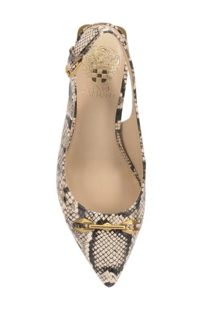 Vince Camuto Hamden Pointed Toe Slingback Pump