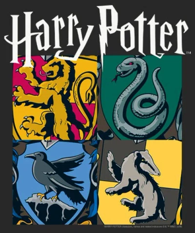 Harry Potter Hogwarts Houses Vintage Collage  Graphic T-shirt In Black