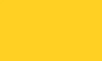 La Doublej Ruffle Bikini Top Zesty Yellow