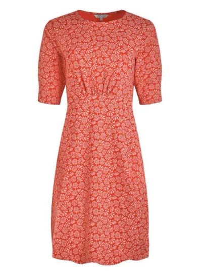 Weird Fish Cassandra Jersey Swing Dress