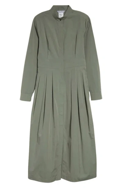 Max Mara Pavia Pleated Long Sleeve Cotton Shirtdress In Green