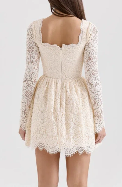 House Of Cb Of Cb Womens Cream Fae Square-neck Long-sleeve Lace Mini Dress Xs In Pink