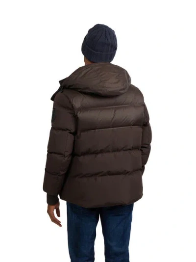 Pajar Comet Mixed Media Puffer With Detachable Hood In Brown