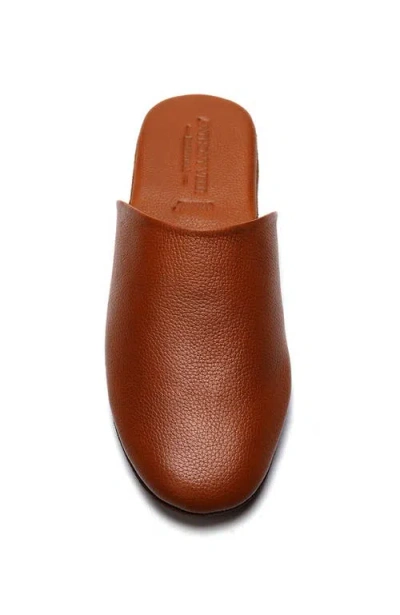 Anthony Veer Clark House Slippers