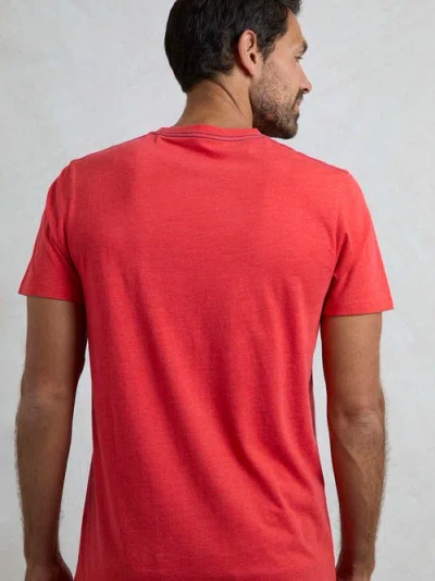 Weird Fish Summer Sector Graphic T-shirt