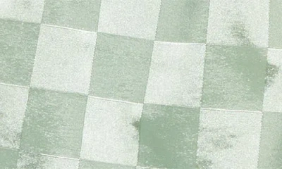 Diet Starts Monday Checkered Nylon Shorts In Green