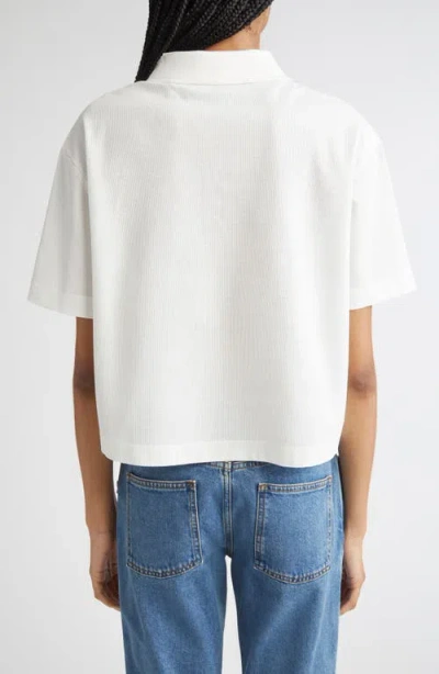 Burberry Cropped Cotton Polo Shirt In White