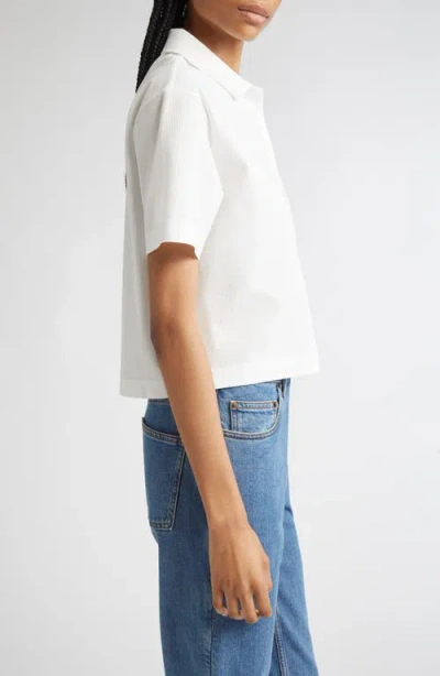Burberry Cropped Cotton Polo Shirt In White