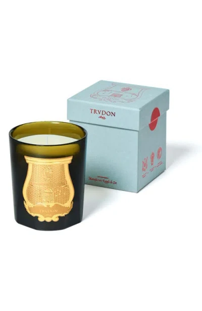 Trudon Ernesto Leather And Tobacco Candle In Green