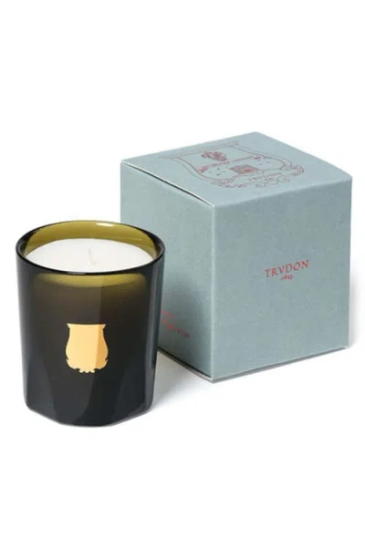 Trudon Ernesto Leather And Tobacco Candle In Green