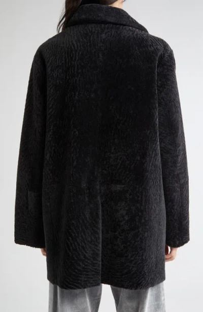 Eleventy Genuine Merino Shearling Jacket In Black