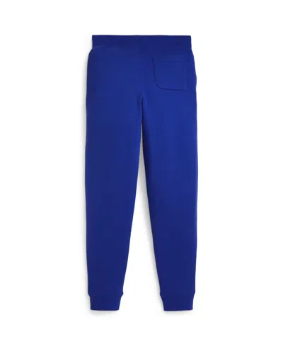 Polo Ralph Lauren Toddler And Little Boys Fleece Jogger Pants In Blue