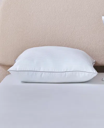Indulgence By Isotonic Down Alternative Hybrid Pillow, Standard