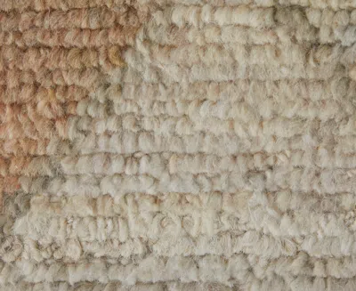 Feizy Kasbah 69g1f 2'x3' Area Rug
