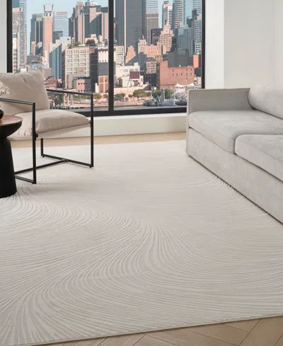 Dkny Central Park West Cep02 7'8"x9'8" Area Rug