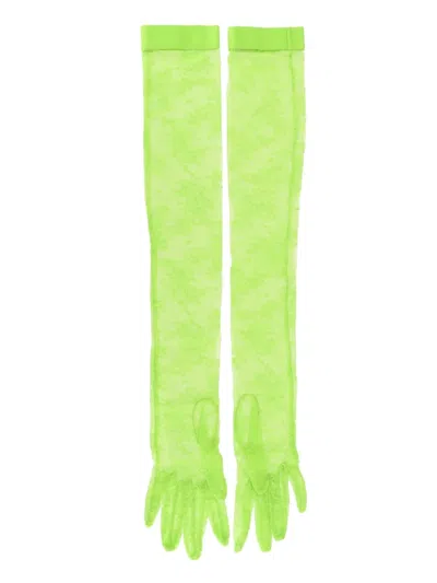 Gianvito Rossi Lace Gloves In Green