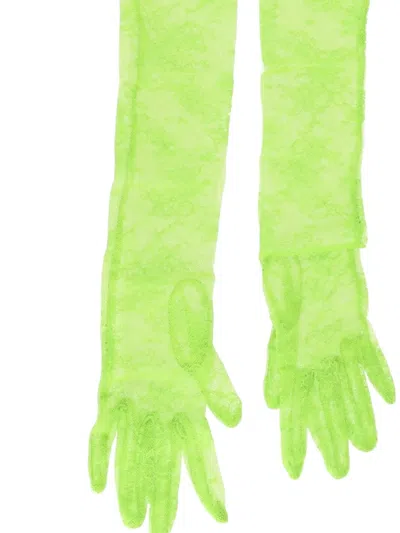 Gianvito Rossi Lace Gloves In Green