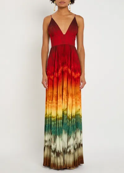 Alice And Olivia Alice + Olivia Lauren Printed Chiffon Maxi Dress